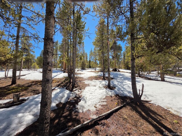379 Lodgepole Dr, Twin Lakes, CO 81251