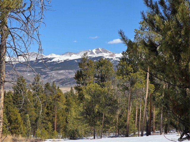379 Lodgepole Dr, Twin Lakes, CO 81251