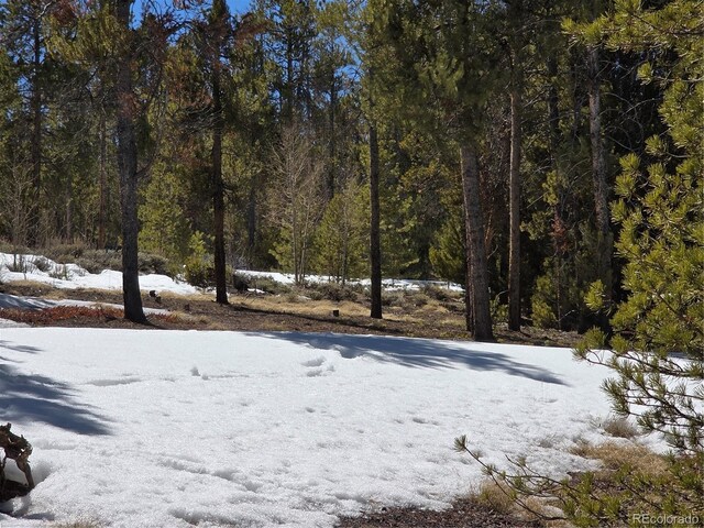 379 Lodgepole Dr, Twin Lakes, CO 81251