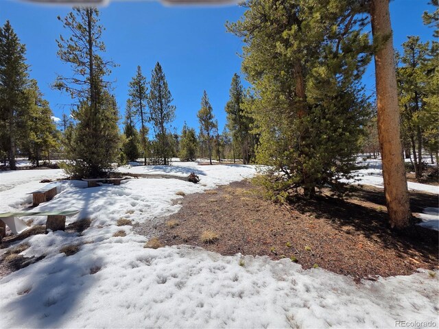 379 Lodgepole Dr, Twin Lakes, CO 81251