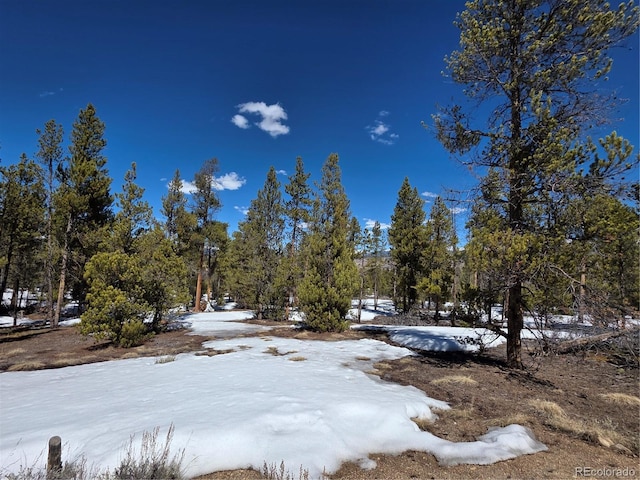379 Lodgepole Dr, Twin Lakes, CO 81251