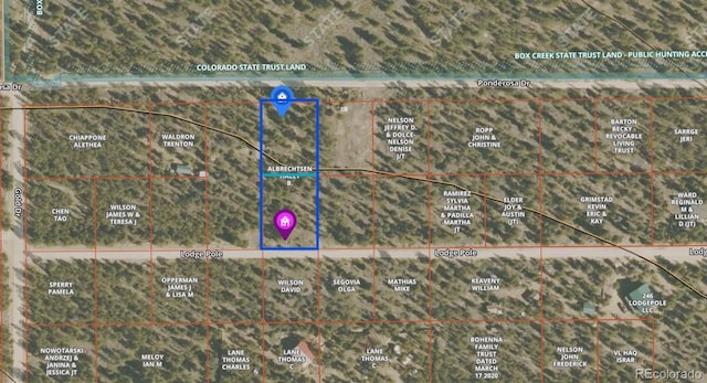 379 Lodgepole Dr, Twin Lakes, CO 81251
