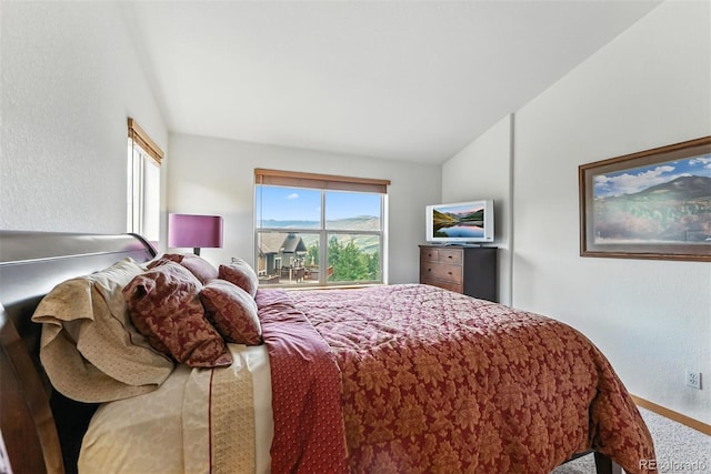 60 Black Diamond Trl Unit 60D, Silverthorne, CO 80498 - bedroom featuring lofted ceiling, carpet floors, and a textured wall