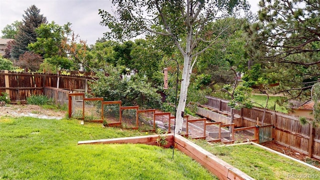 6278 E Euclid Ave, Centennial, CO 80111 - view of yard featuring a vegetable garden