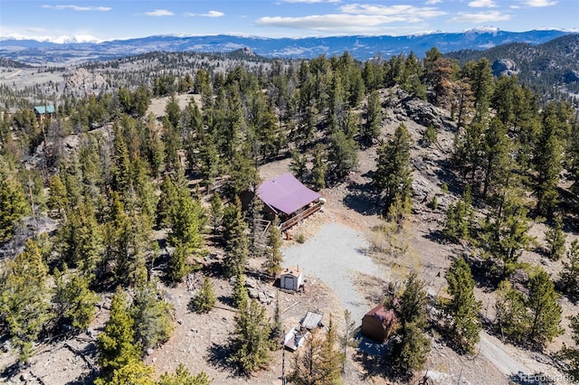 1838 E Longbow Dr, Como, CO 80432 - view of subject property with mountains and a forest
