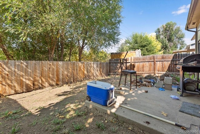 view of yard featuring a patio area