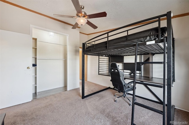 5664 Southfork Dr, Peyton, CO 80831 - photo 26