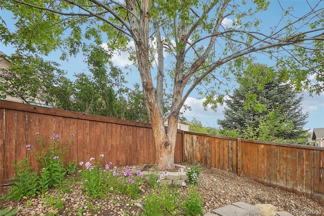 12753 Buckhorn Creek St, Parker, CO 80134 - view of fenced backyard