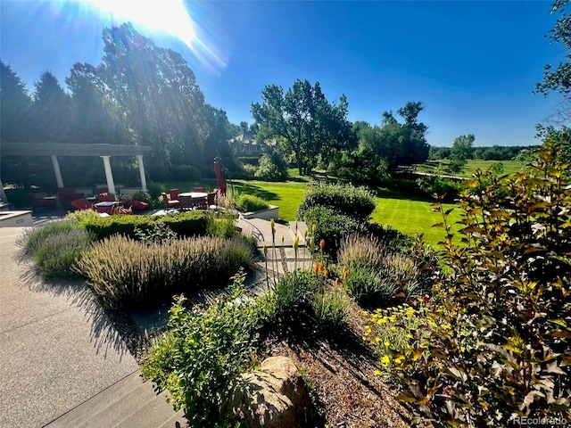 4590 E Perry Pkwy, Greenwood Village, CO 80121 - photo 3