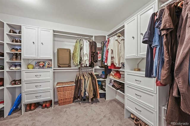 2090 Bellavista St, Castle Rock, CO 80109 - walk in closet featuring carpet flooring