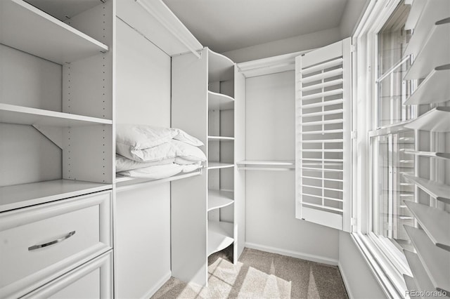 2090 Bellavista St, Castle Rock, CO 80109 - spacious closet featuring light carpet