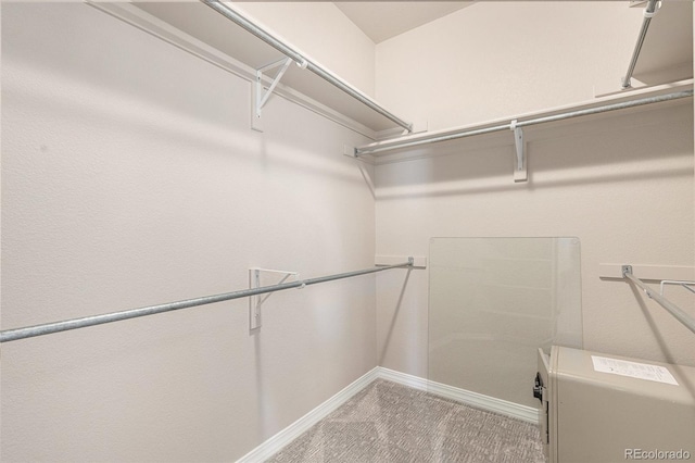 149 Walters Creek Dr, Monument, CO 80132 - spacious closet with carpet flooring