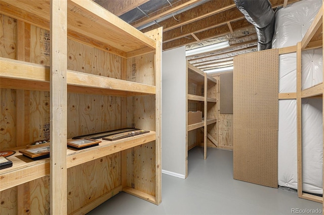149 Walters Creek Dr, Monument, CO 80132 - view of storage room