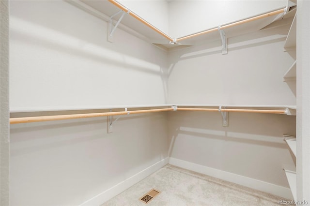 walk in closet with light carpet