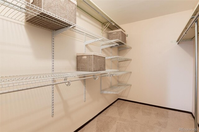 spacious closet with light colored carpet