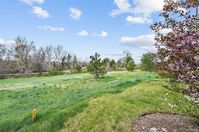 4212 E Orchard Pl, Centennial, CO 80121 - view of yard