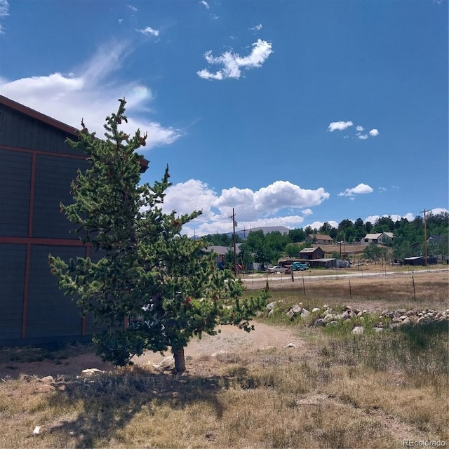 290 Castello Ave, Fairplay, CO 80440 - view of yard