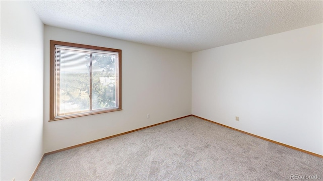290 Castello Ave, Fairplay, CO 80440 - empty room with light carpet and a textured ceiling