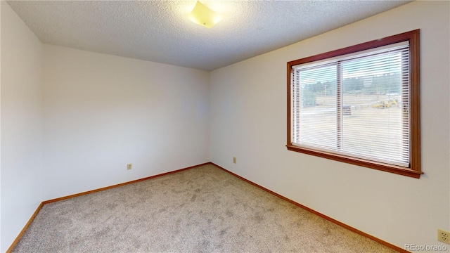 290 Castello Ave, Fairplay, CO 80440 - empty room with light colored carpet and a textured ceiling