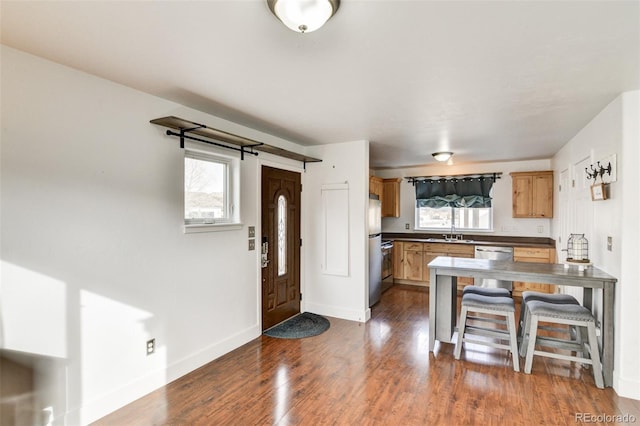 kitchen with sink, dark wood-type flooring, plenty of natural light, and stainless steel appliances