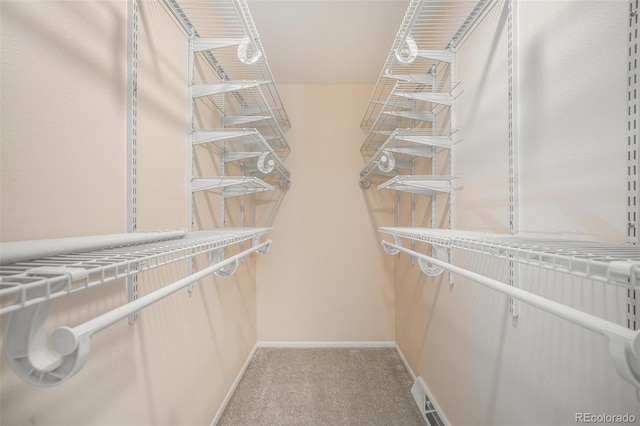 walk in closet featuring light carpet