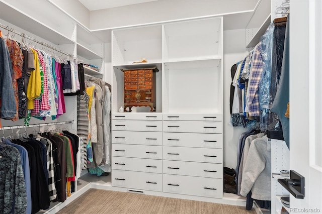 view of spacious closet