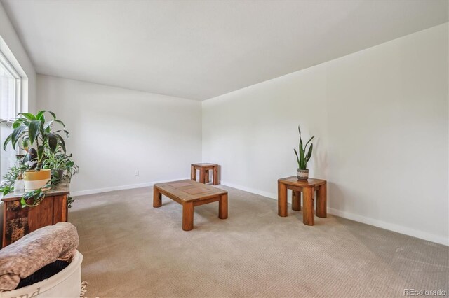 8445 Lamar Dr, Arvada, CO 80003 - unfurnished room featuring carpet floors and baseboards