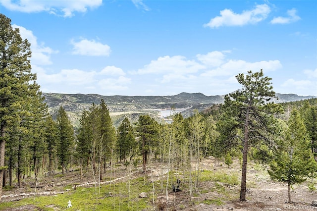 116 Ramona Rd, Golden, CO 80403 - view of mountain background