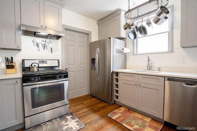 4312 Xavier St, Denver, CO 80212 - kitchen featuring appliances with stainless steel finishes, under cabinet range hood, a sink, gray cabinets, and light countertops
