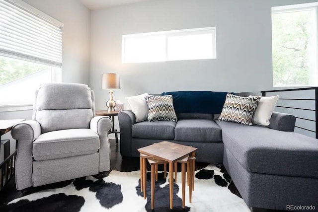 4312 Xavier St, Denver, CO 80212 - living room with healthy amount of natural light