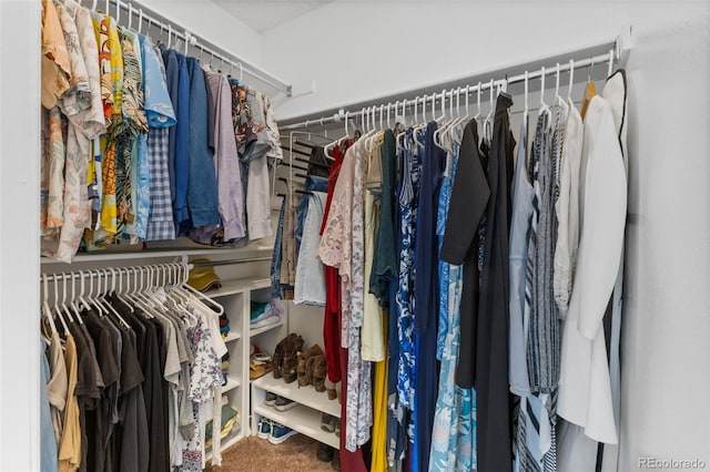 6545 W 84th Way Unit 132, Arvada, CO 80003 - view of spacious closet