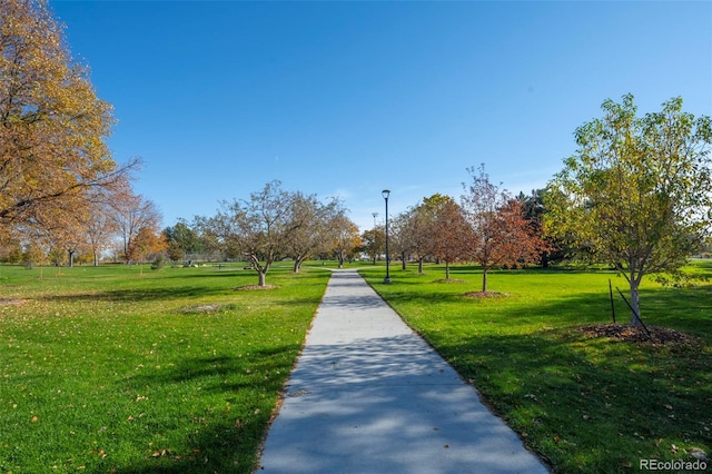 view of home's community with a yard