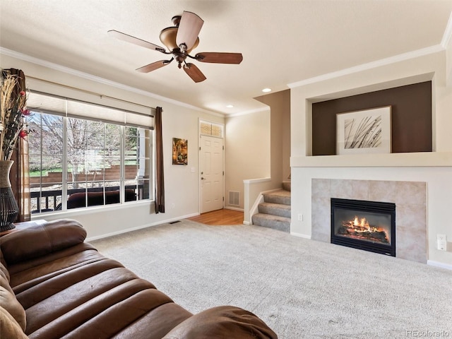 carpeted living room featuring crown molding, a fireplace, a ceiling fan, visible vents, and stairway