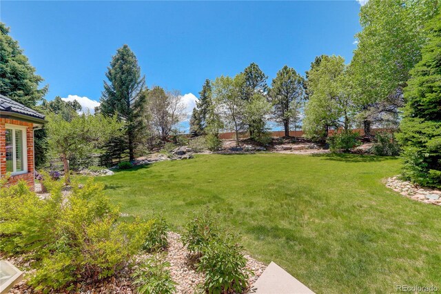 9141 Roundtree Dr, Highlands Ranch, CO 80126 - photo 36