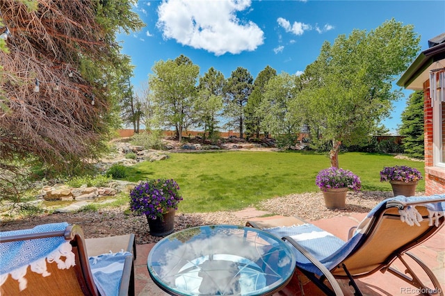9141 Roundtree Dr, Highlands Ranch, CO 80126 - photo 43
