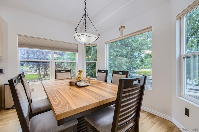 dining room featuring baseboards and light wood-style flooring