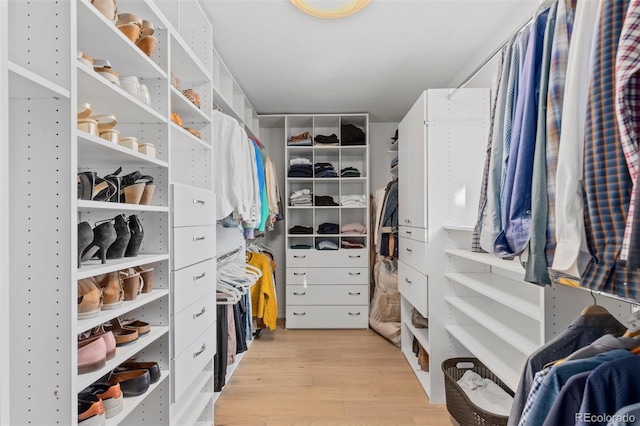 walk in closet with light wood-type flooring