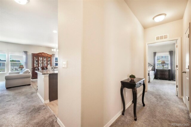 4630 Zircon Dr, Colorado Springs, CO 80938 - photo 32