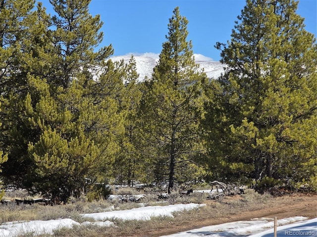 378 Ponderosa Dr, Twin Lakes, CO 81251