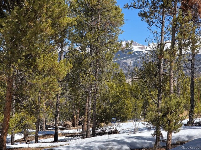378 Ponderosa Dr, Twin Lakes, CO 81251