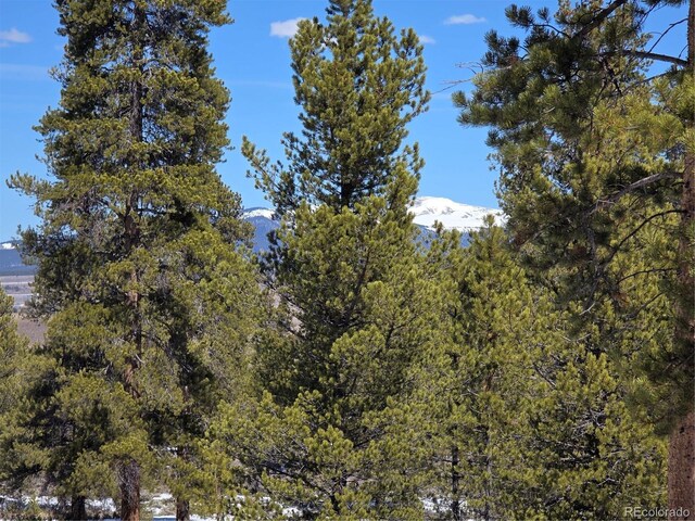 378 Ponderosa Dr, Twin Lakes, CO 81251