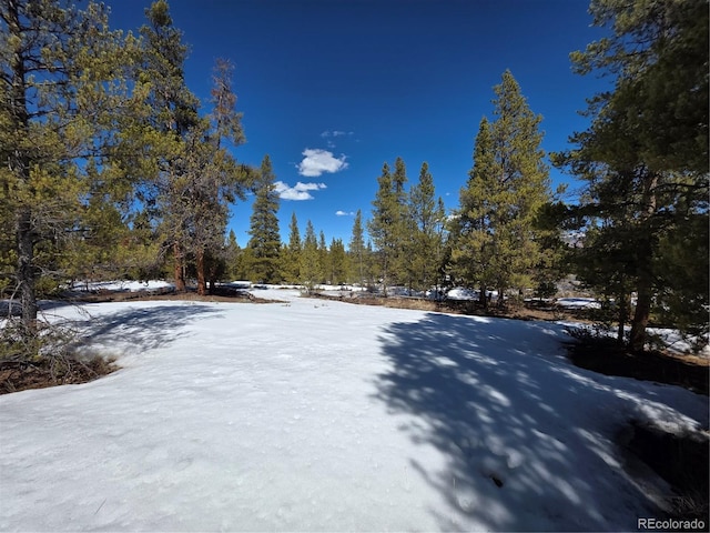 378 Ponderosa Dr, Twin Lakes, CO 81251