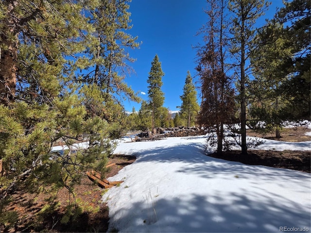 378 Ponderosa Dr, Twin Lakes, CO 81251