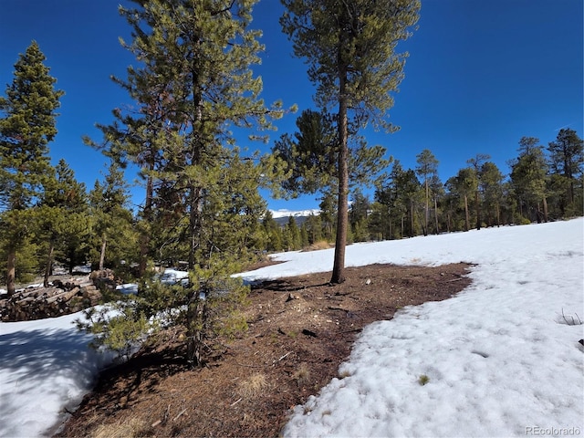 378 Ponderosa Dr, Twin Lakes, CO 81251