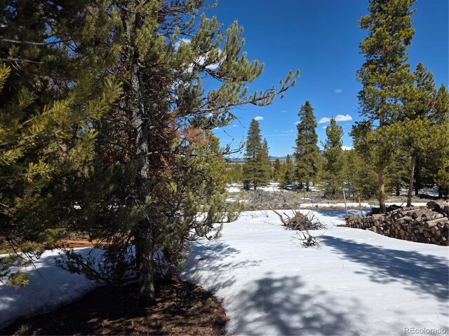 378 Ponderosa Dr, Twin Lakes, CO 81251
