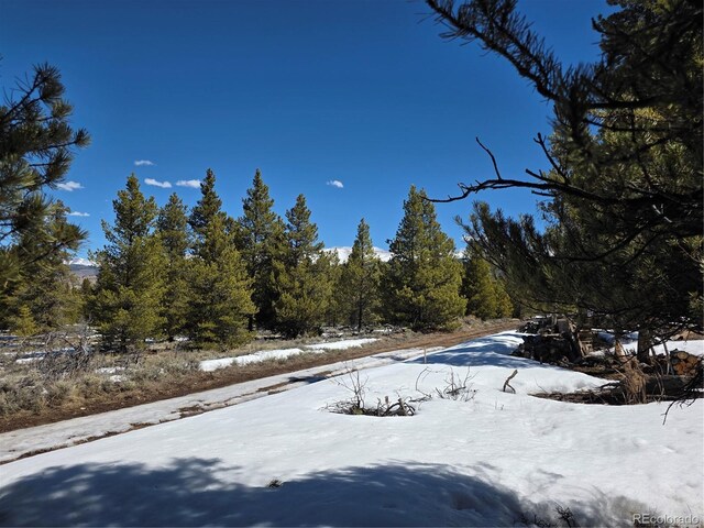 378 Ponderosa Dr, Twin Lakes, CO 81251