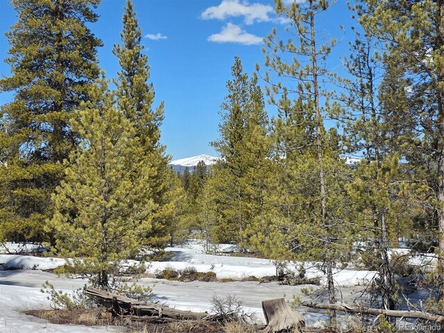 378 Ponderosa Dr, Twin Lakes, CO 81251