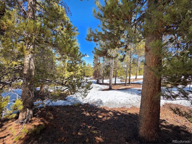 378 Ponderosa Dr, Twin Lakes, CO 81251