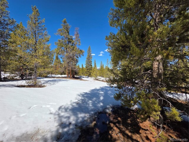 378 Ponderosa Dr, Twin Lakes, CO 81251