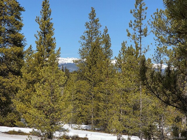 378 Ponderosa Dr, Twin Lakes, CO 81251